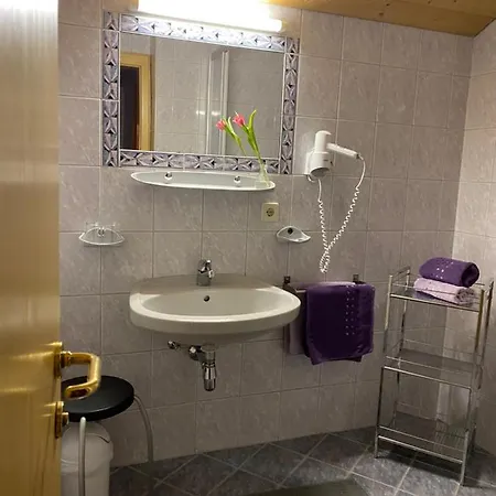 公寓 Aparts Handle Und Haus Bergblick 普范德斯