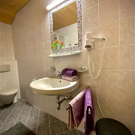 公寓 Aparts Handle Und Haus Bergblick *