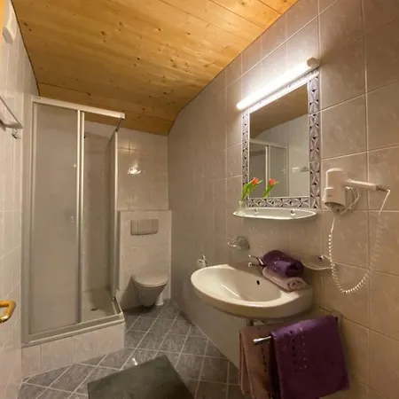 Apartment Aparts Handle Und Haus Bergblick