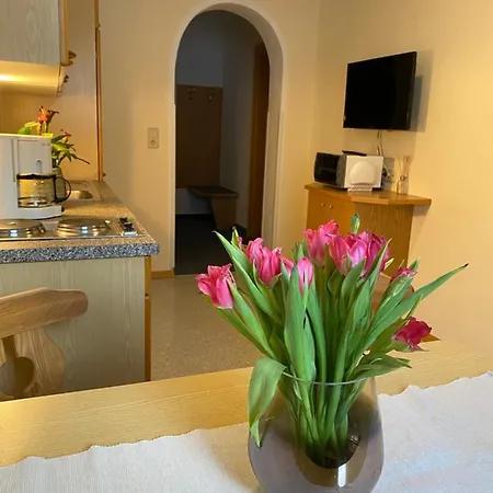Apartment Aparts Handle Und Haus Bergblick *
