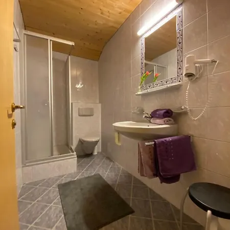 Apartment Aparts Handle Und Haus Bergblick Pfunds