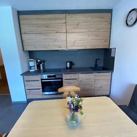 Aparts Handle Und Haus Bergblick Apartment Pfunds