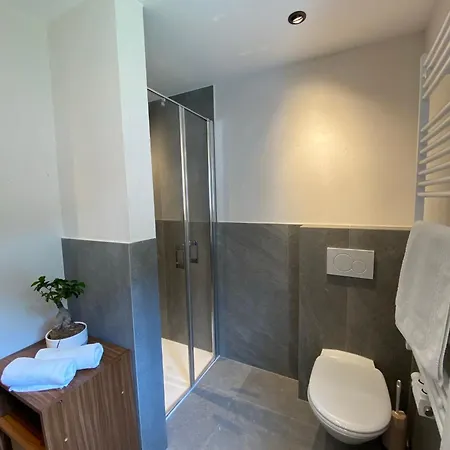 Aparts Handle Und Haus Bergblick Apartment