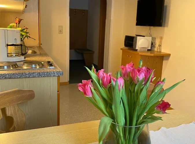 Appartamento Aparts Handle Und Haus Bergblick *